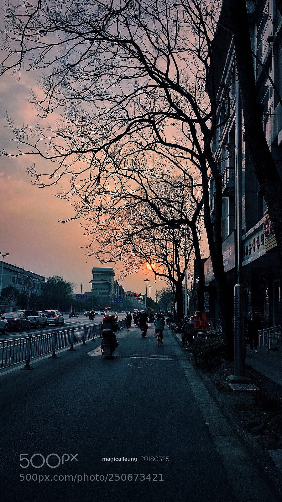 Apple iPhone 6s sample photo. Untitled photography