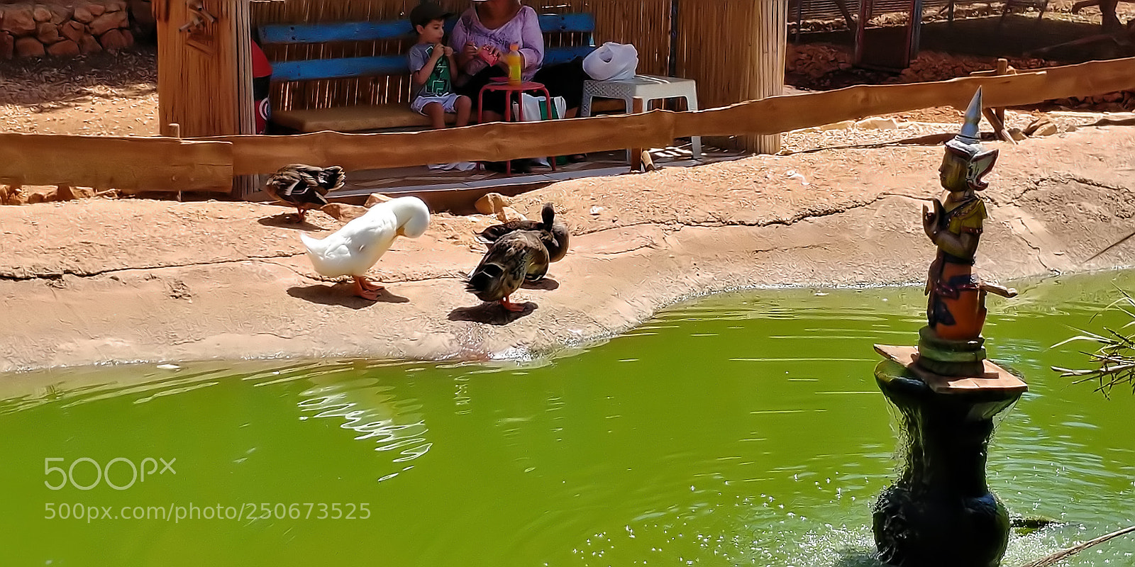 LG G6 sample photo. Monkey park - yodfat photography