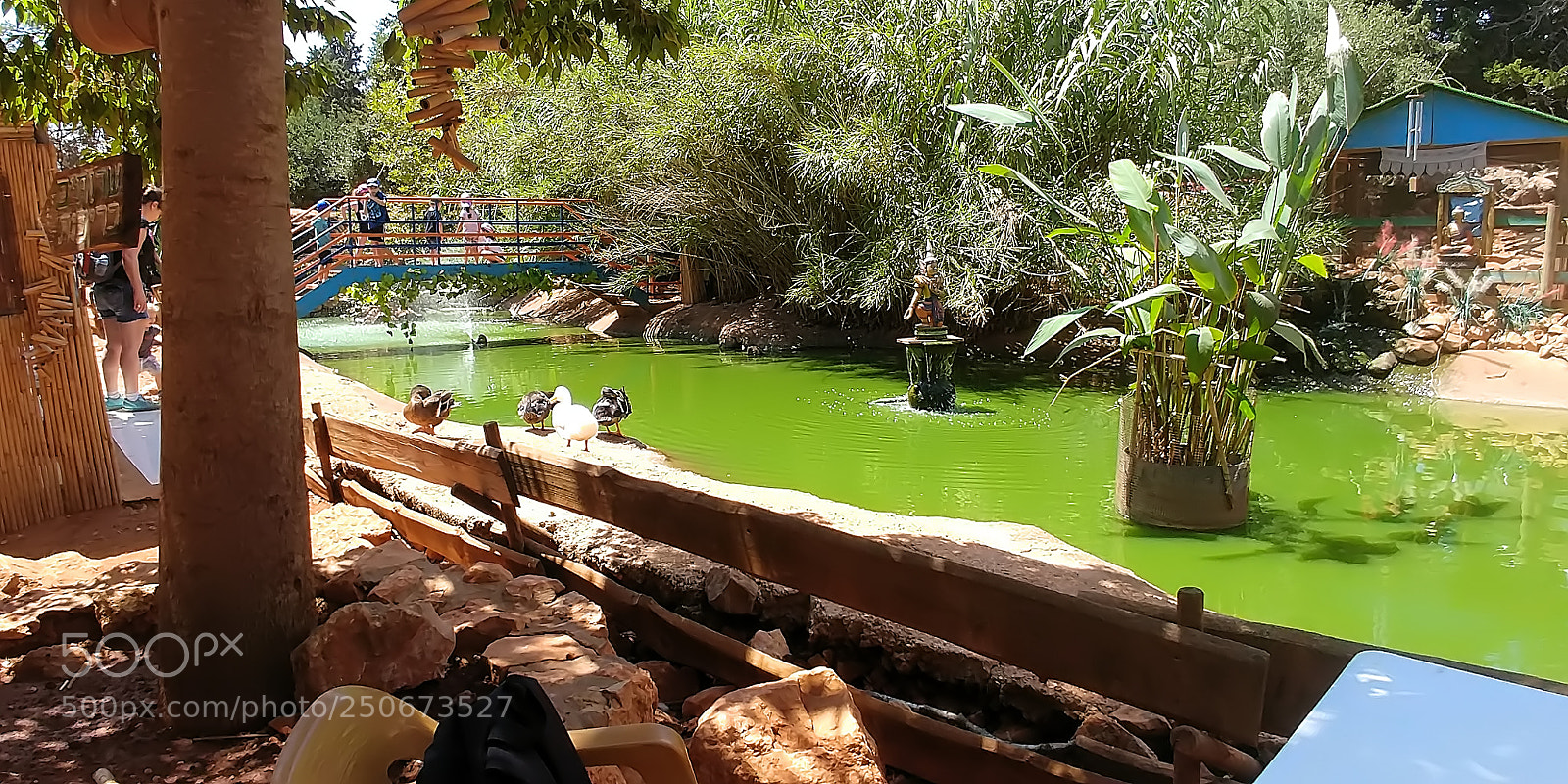 LG G6 sample photo. Monkey park - yodfat photography