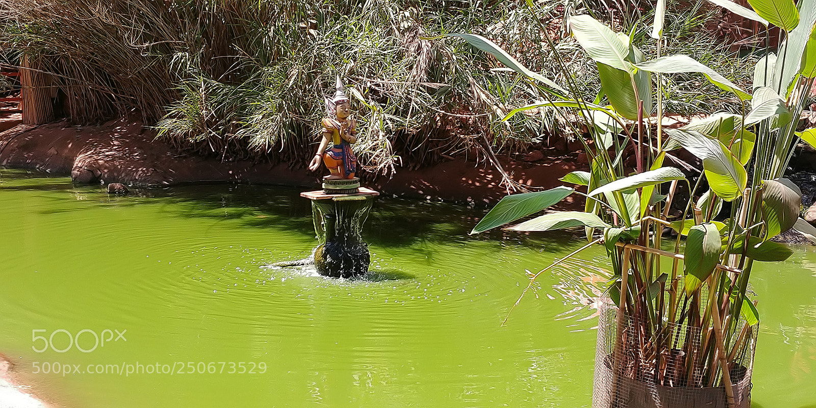 LG G6 sample photo. Monkey park - yodfat photography