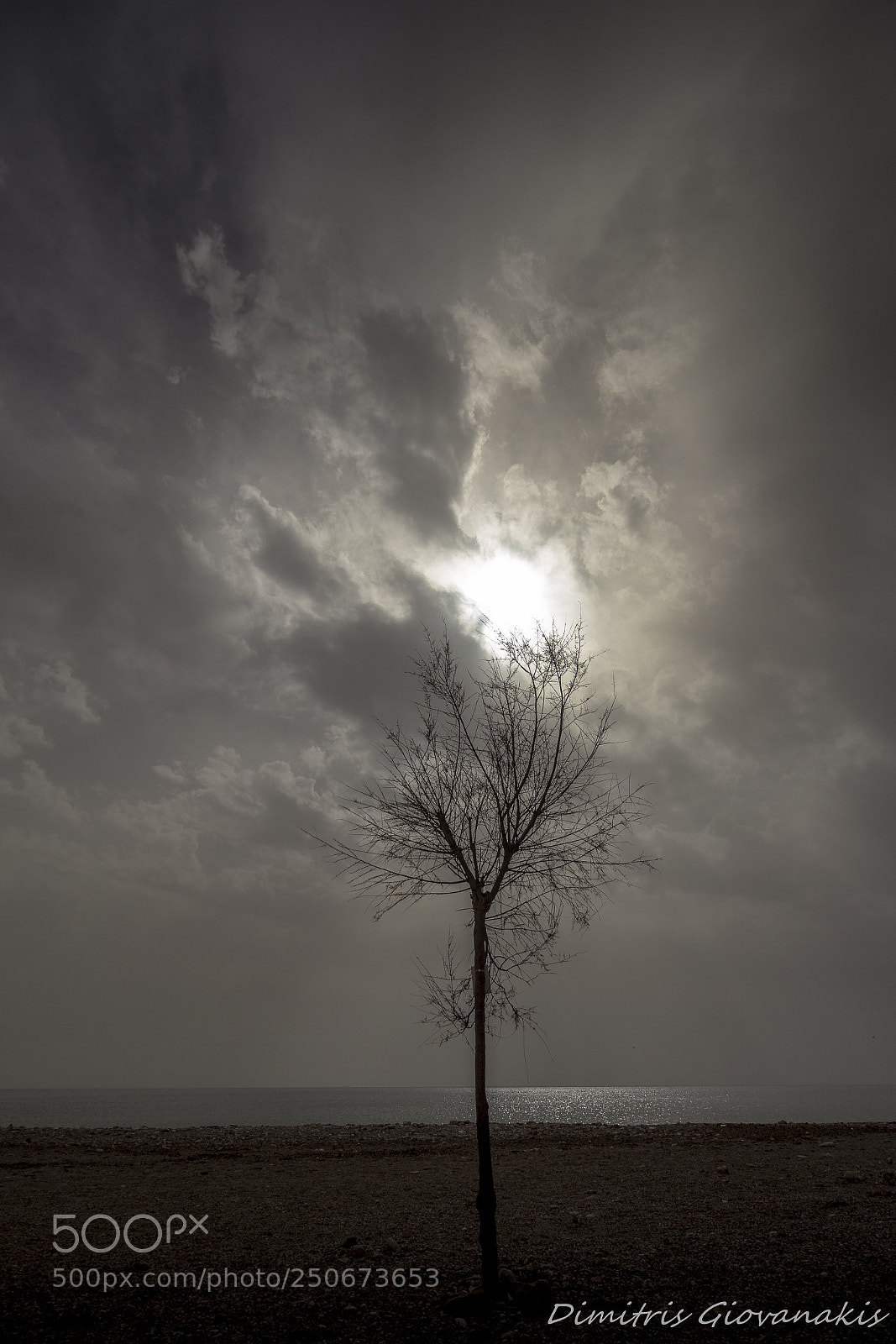 Canon EOS 60D sample photo. Lonely photography