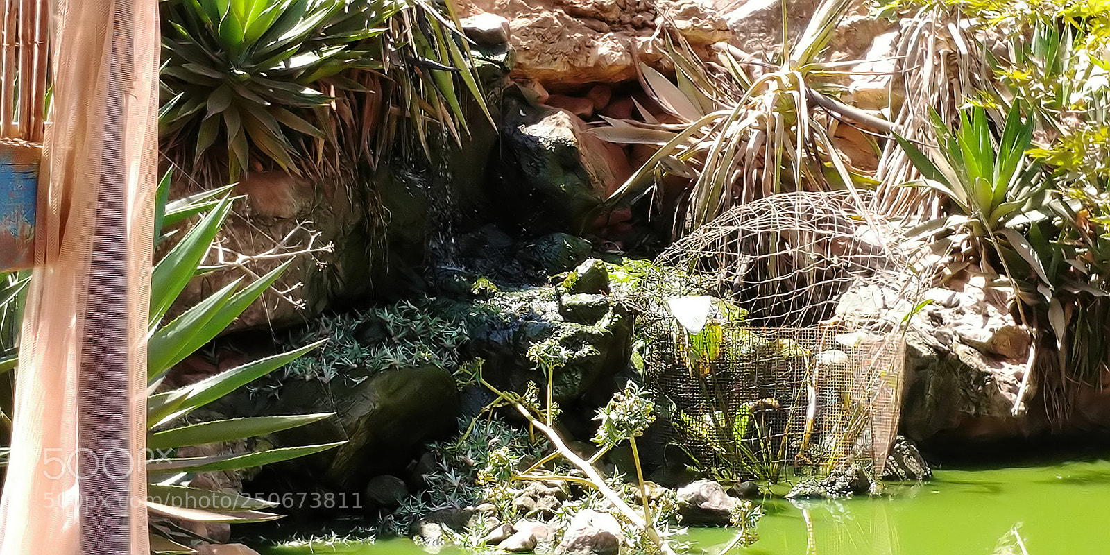 LG G6 sample photo. Monkey park - yodfat photography