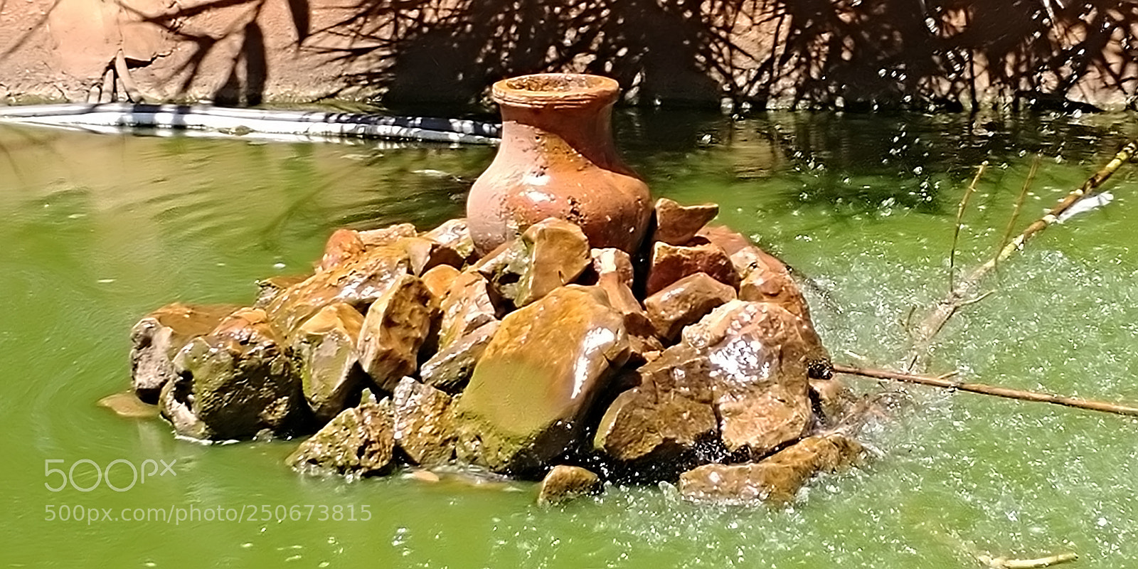 LG G6 sample photo. Monkey park - yodfat photography