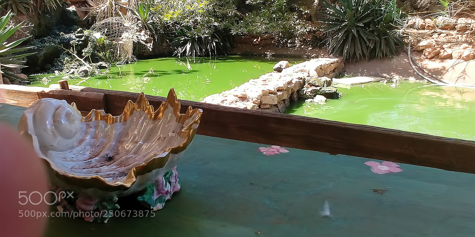 LG G6 sample photo. Monkey park - yodfat photography