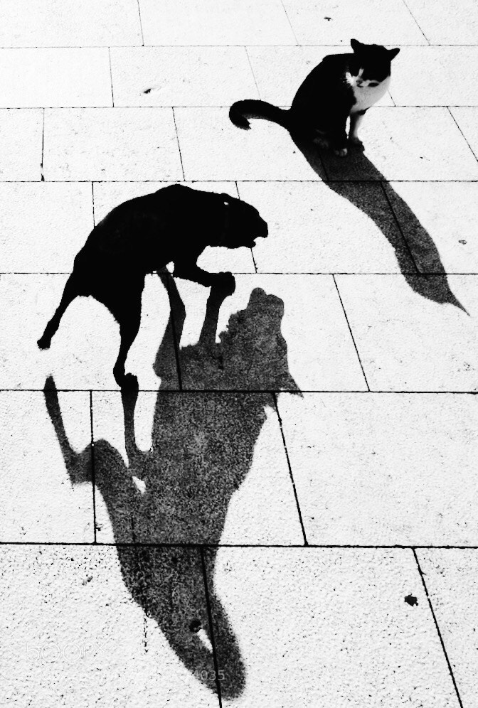 Fujifilm X100F sample photo. Fear? photography
