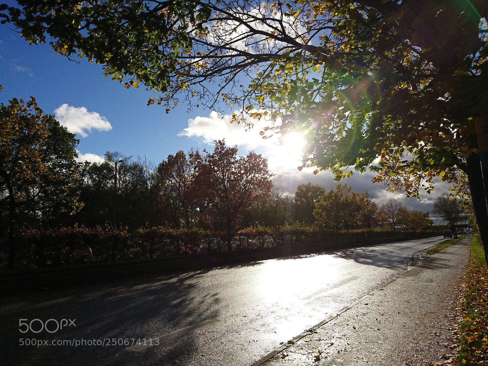 Sony Xperia XZ sample photo. Sunny road photography
