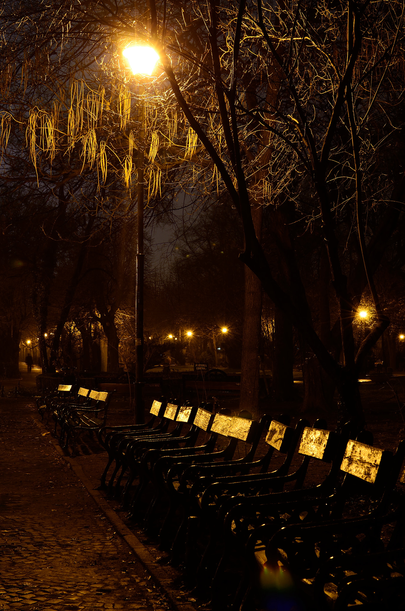 Park benches in the night