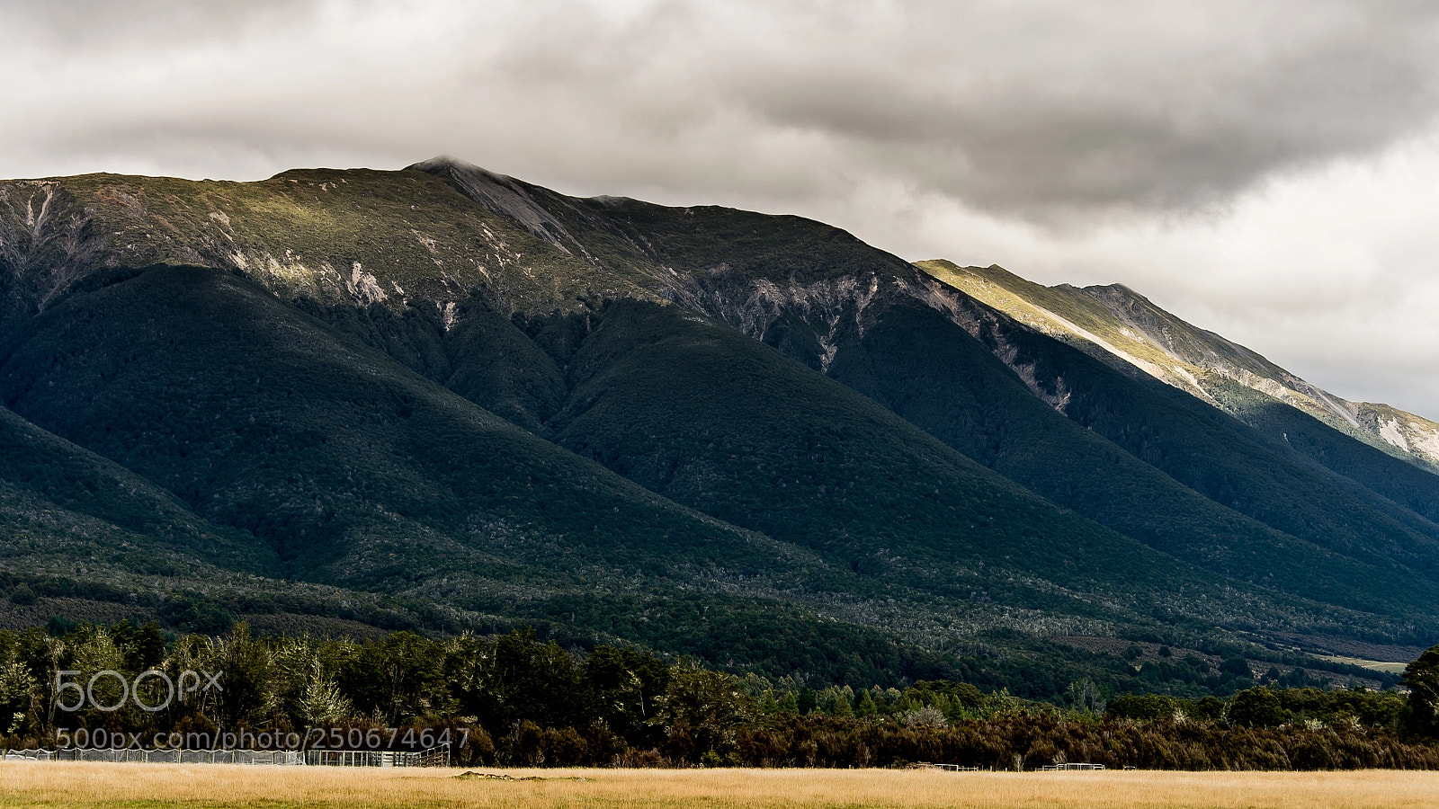 Nikon D4 sample photo. New zealand richmond range photography