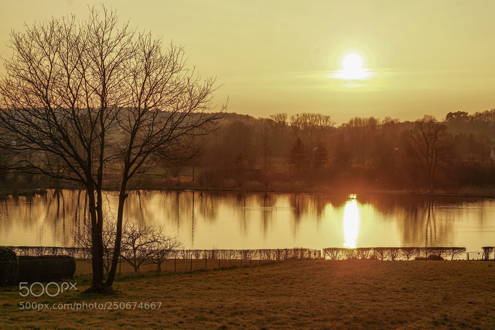Sony a7R II sample photo. Untitled photography