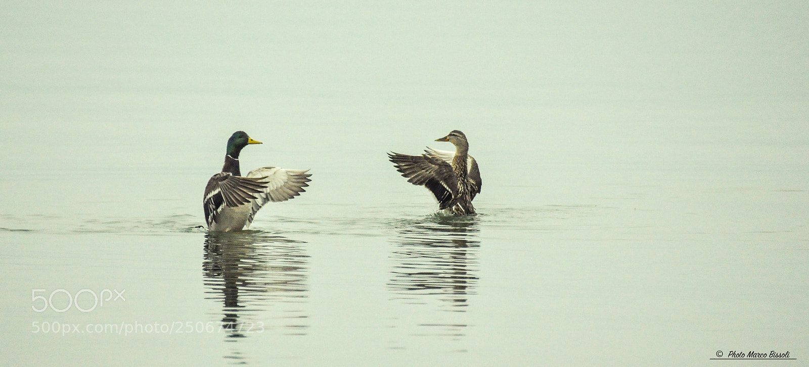 Nikon D90 sample photo. Lago di garda  photography
