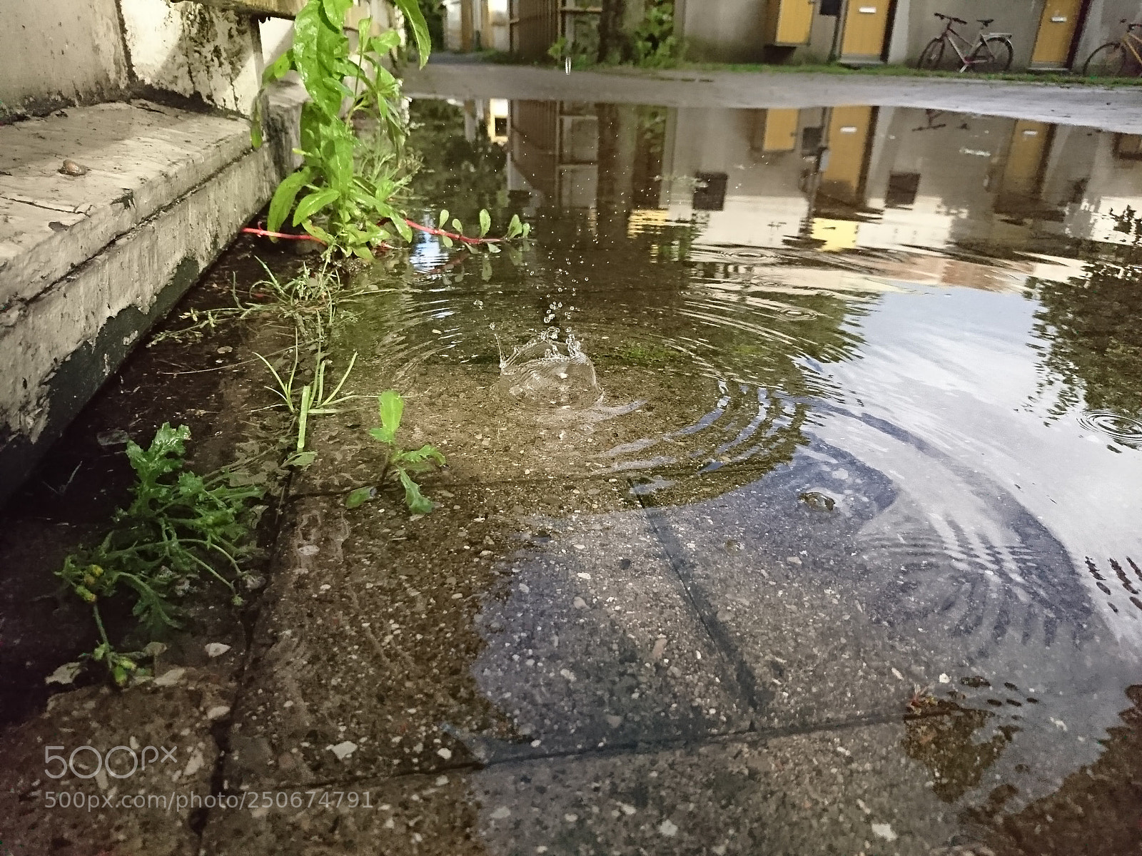 Sony Xperia XZ sample photo. Droplet after rain photography