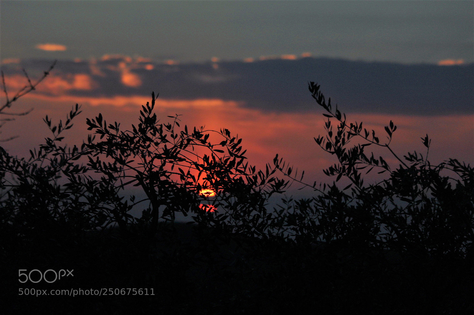 Canon EOS 1200D (EOS Rebel T5 / EOS Kiss X70 / EOS Hi) sample photo. Seminascosto photography