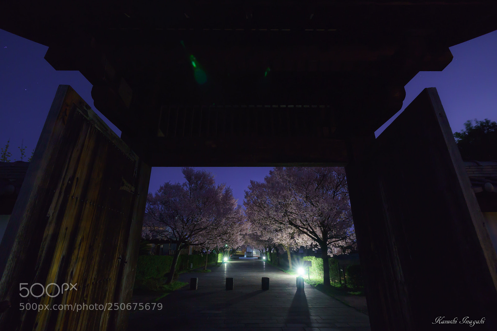 Sony SLT-A99V sample photo. Cherry blossom with pretentious photography