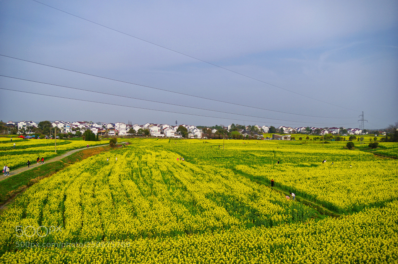 Pentax K-3 II sample photo. Untitled photography