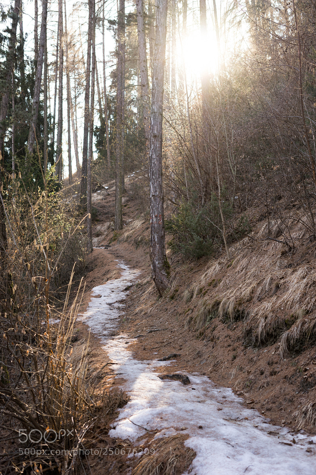 Sony a7 II sample photo. Untitled photography