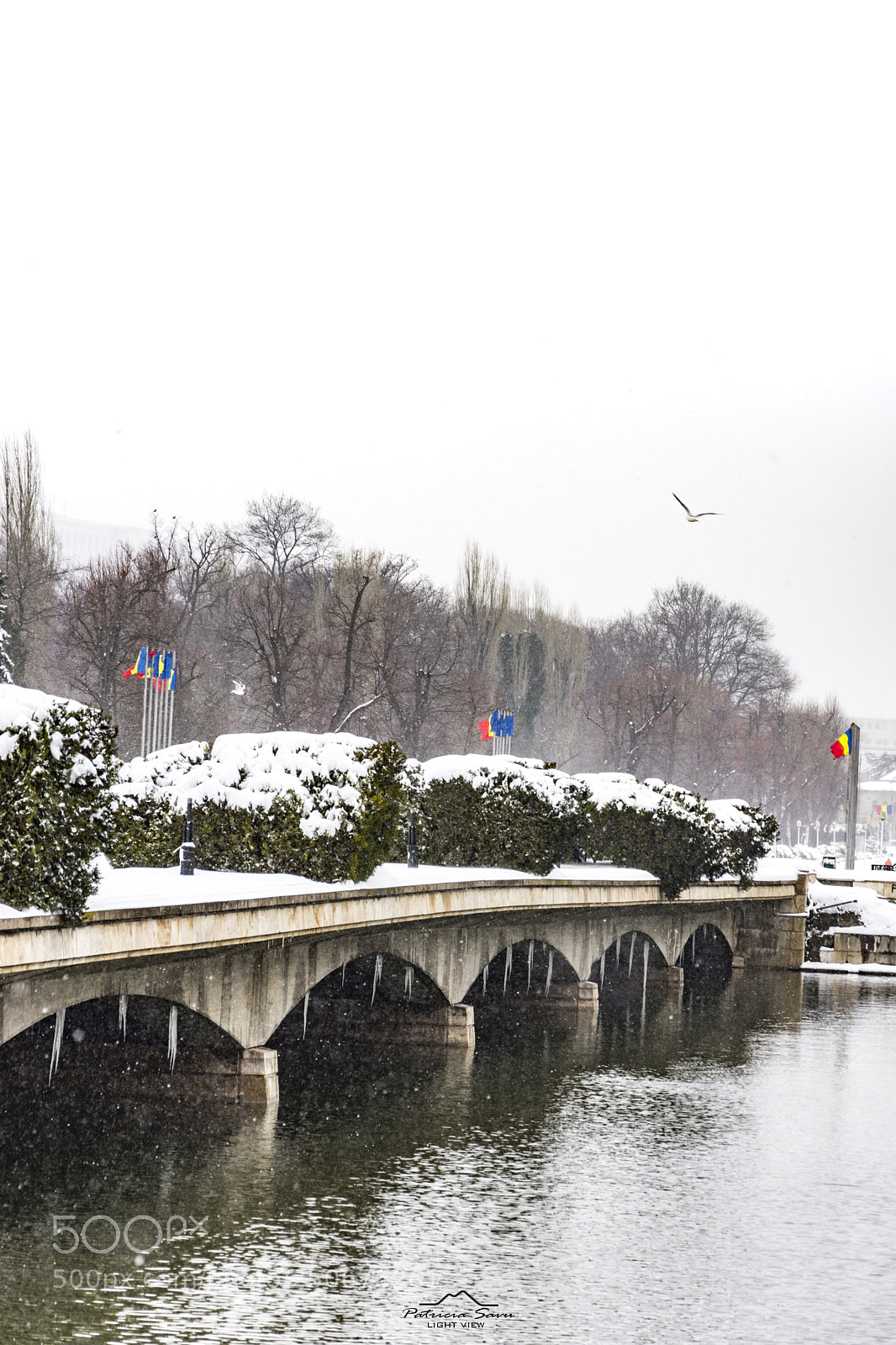 Nikon D7200 sample photo. Frozen! photography