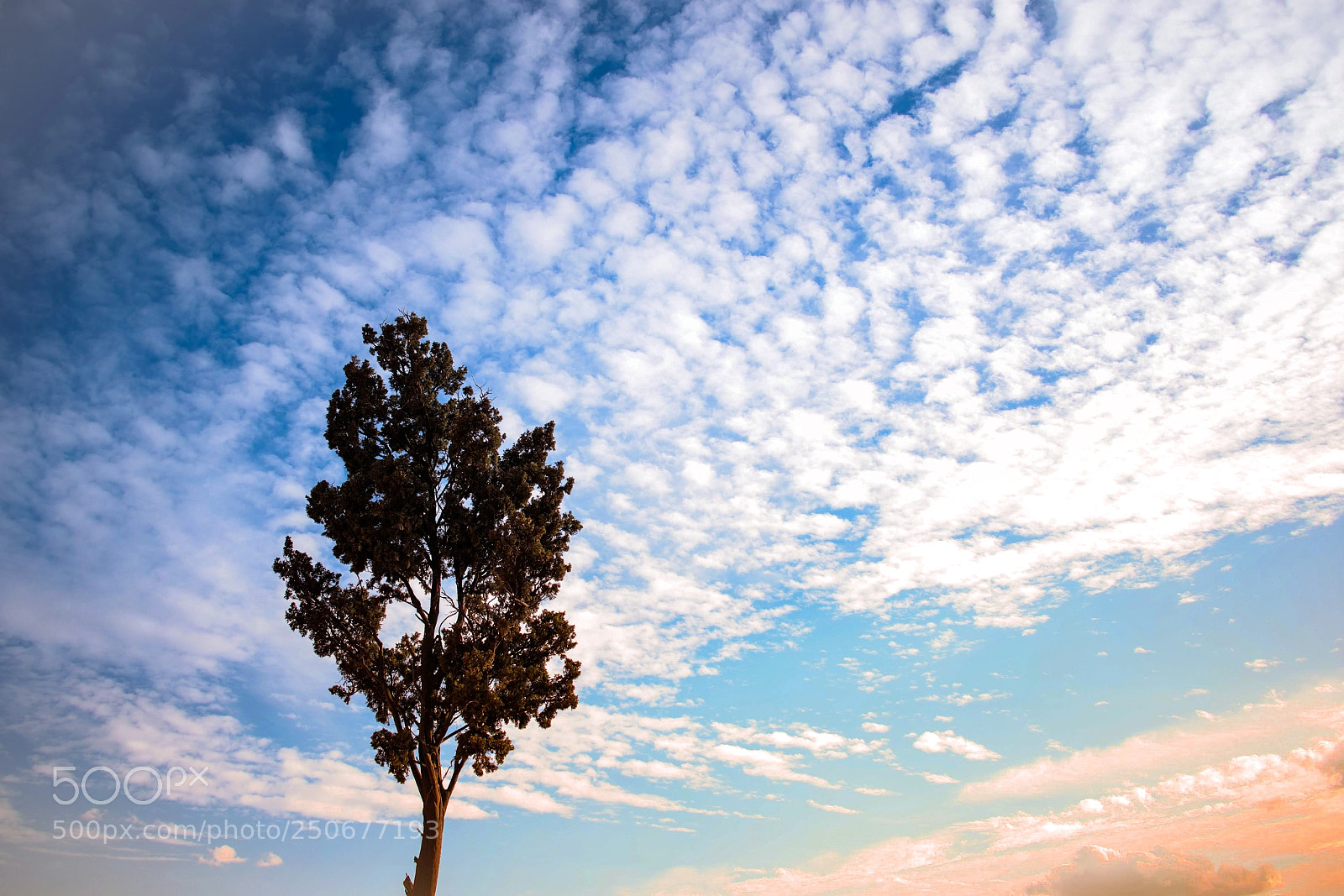 Nikon D3300 sample photo. Amanecer bonito photography
