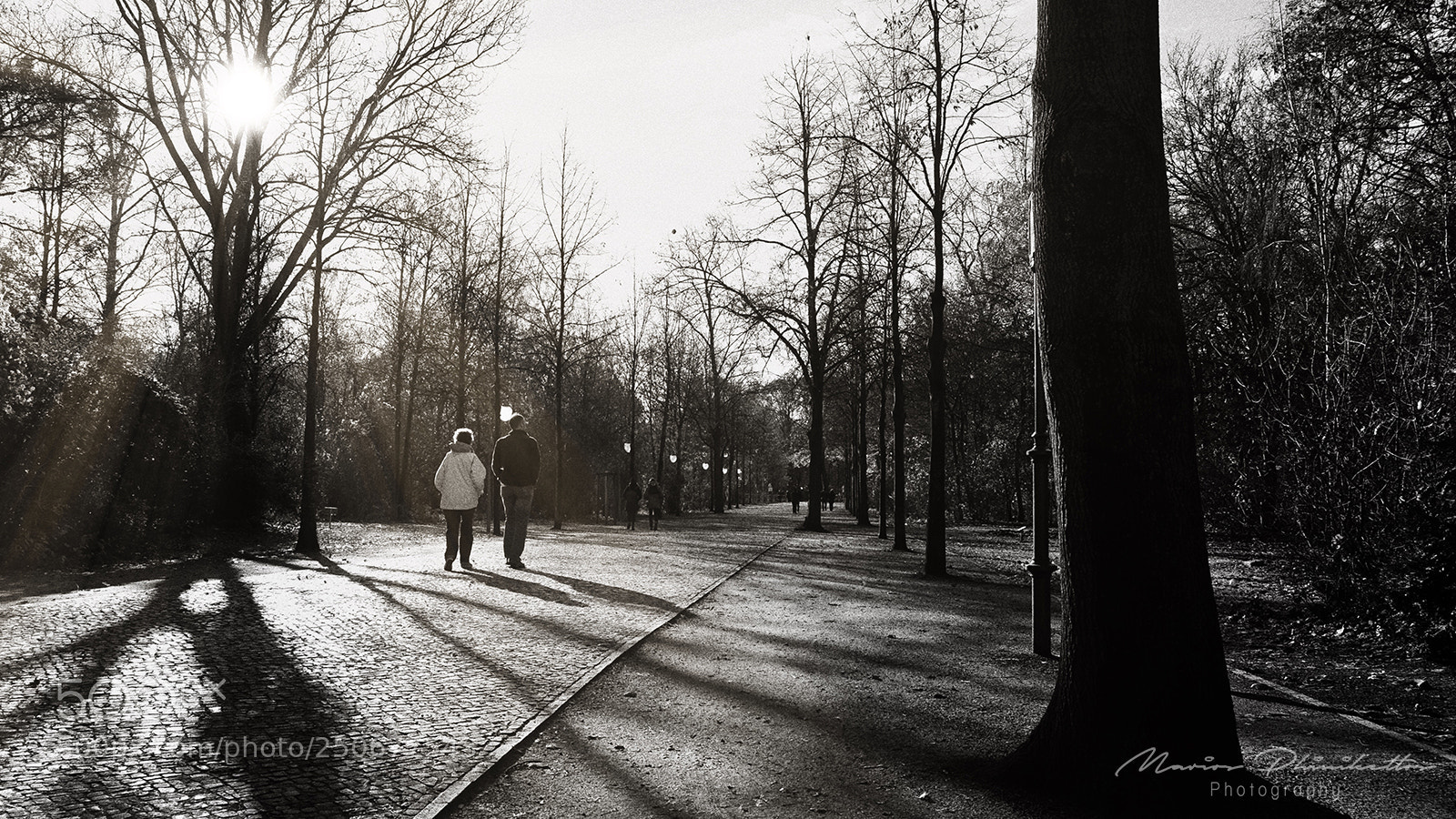 Fujifilm X-E2 sample photo. A walk in the photography
