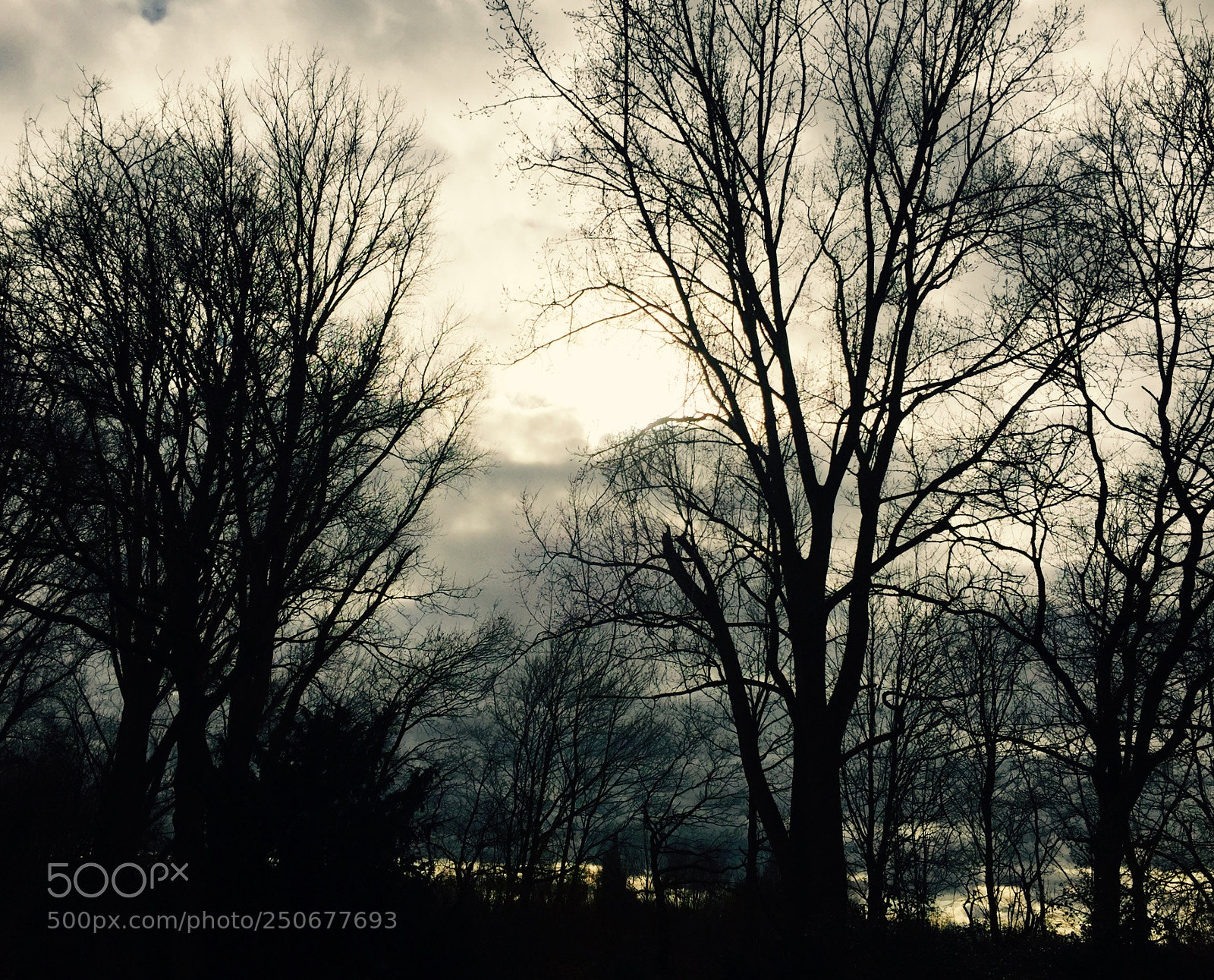 Apple iPhone 6 sample photo. Untitled photography