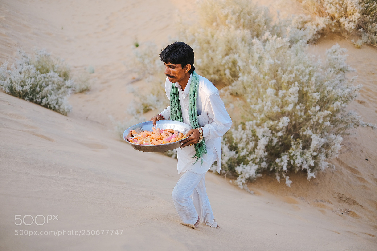 Fujifilm X-T10 sample photo. Camel safari photography