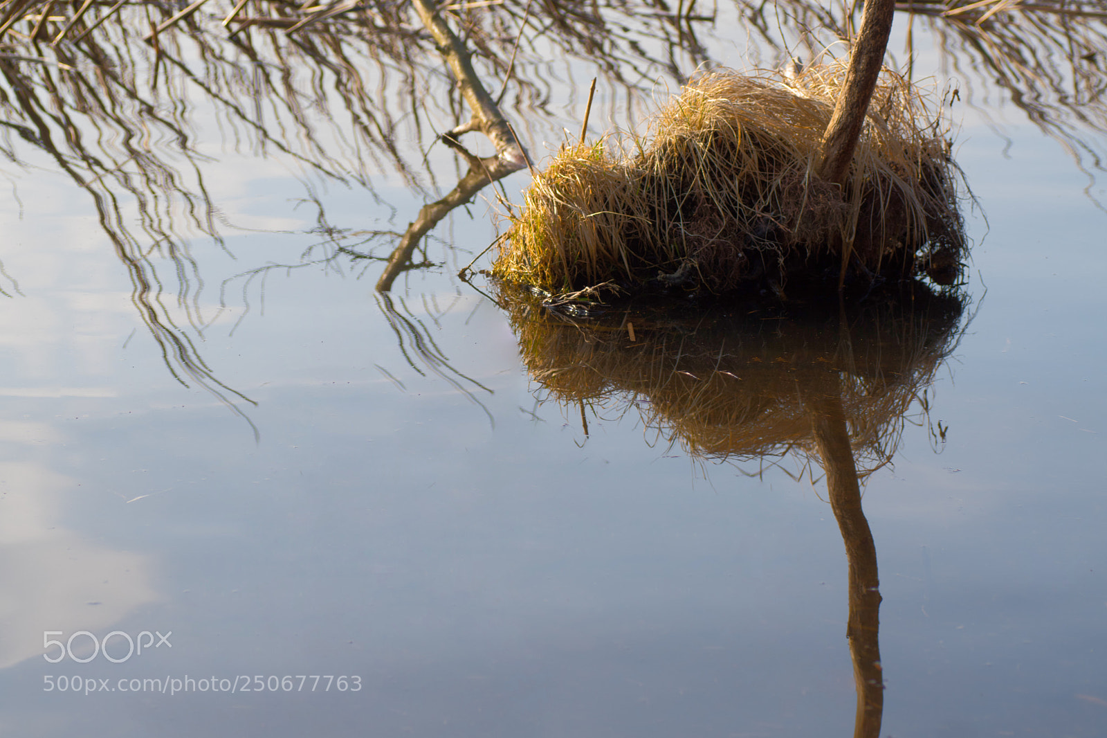 Sony ILCA-77M2 sample photo. Reflection in the water. photography