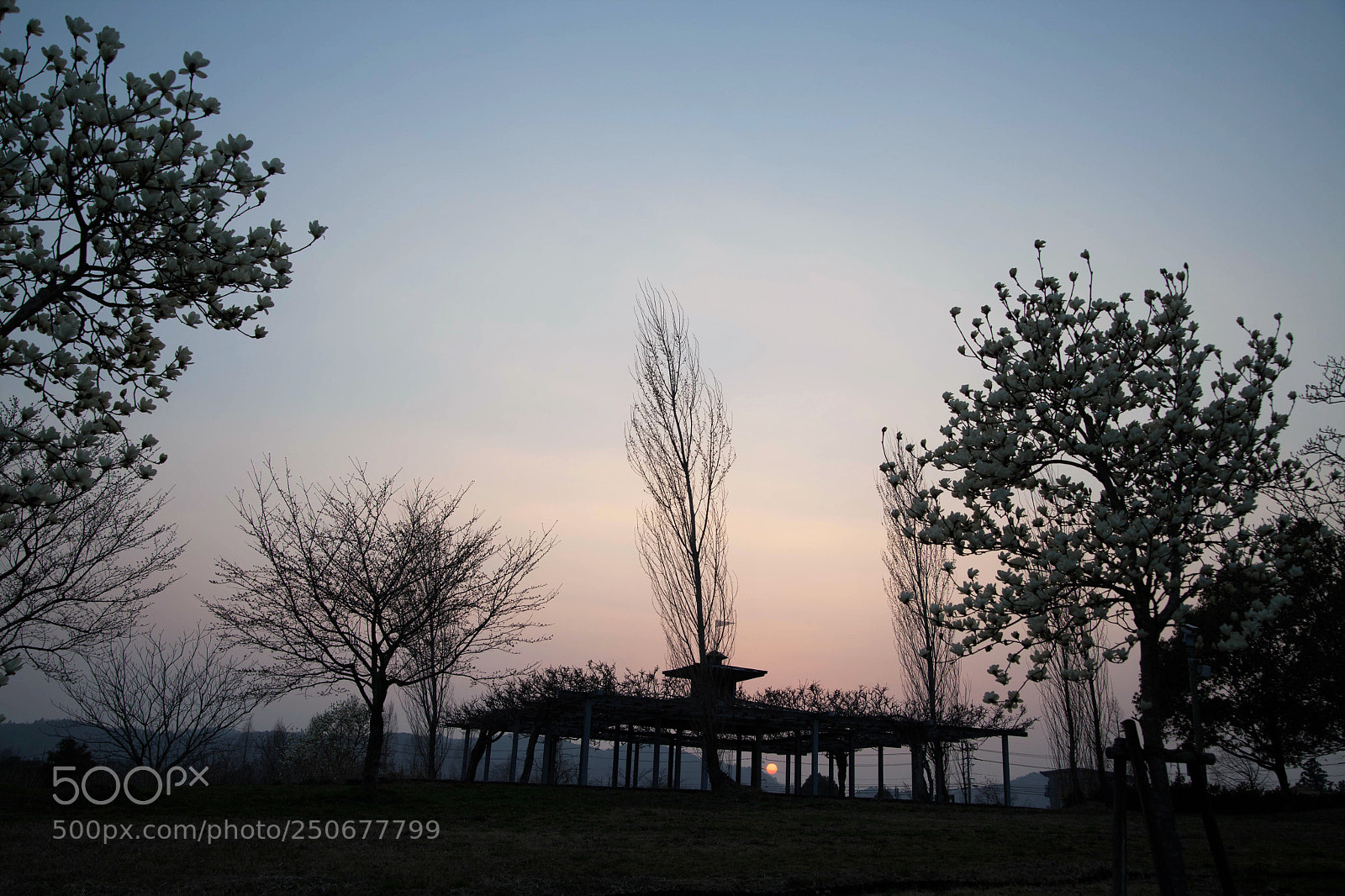 Canon EOS 5D Mark II sample photo. Spring sunset photography