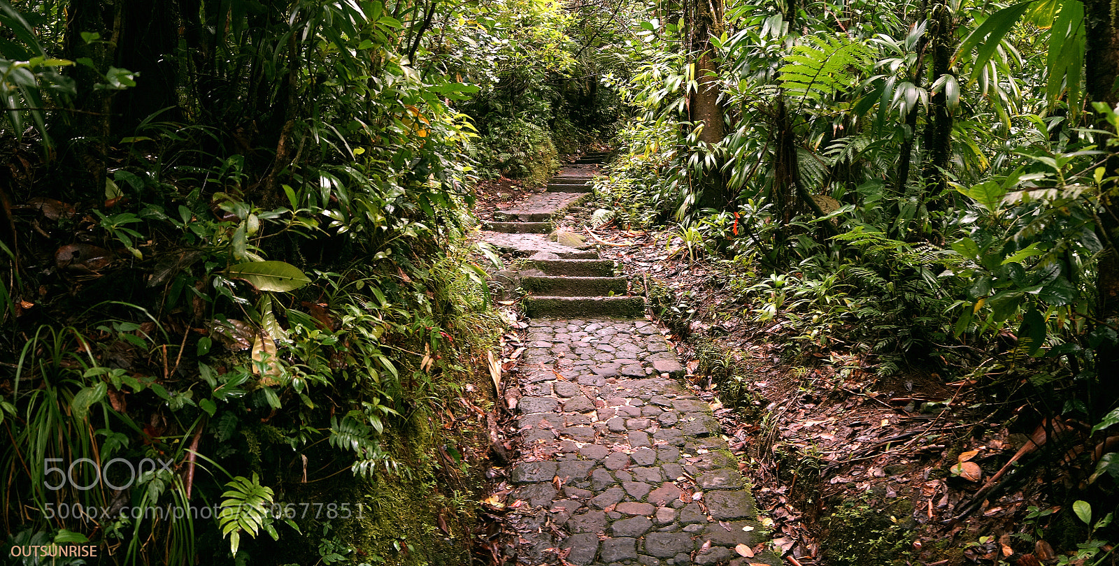Sony SLT-A65 (SLT-A65V) sample photo. Adventure by outsunrise photography