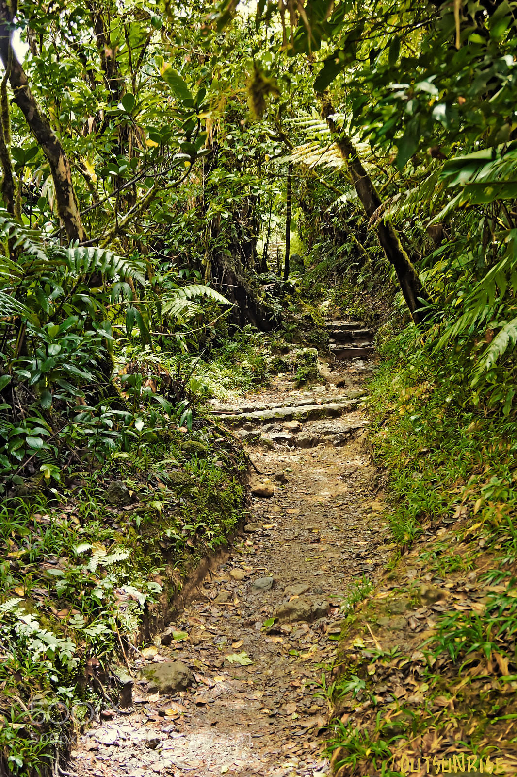 Sony SLT-A65 (SLT-A65V) sample photo. Ascent by outsunrise photography