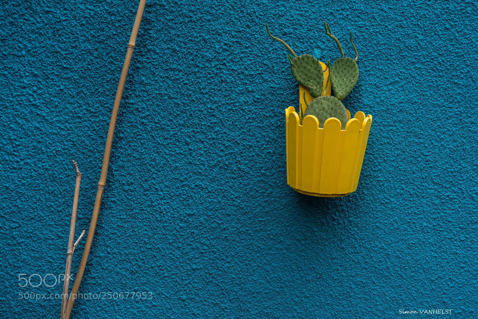 Nikon D7100 sample photo. Trentemoult colors photography