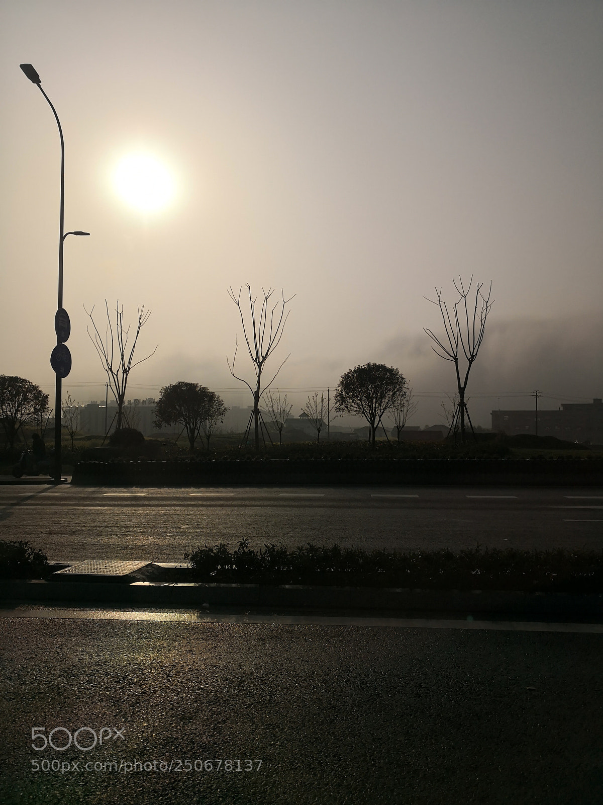 HUAWEI Mate 10 sample photo. Untitled photography