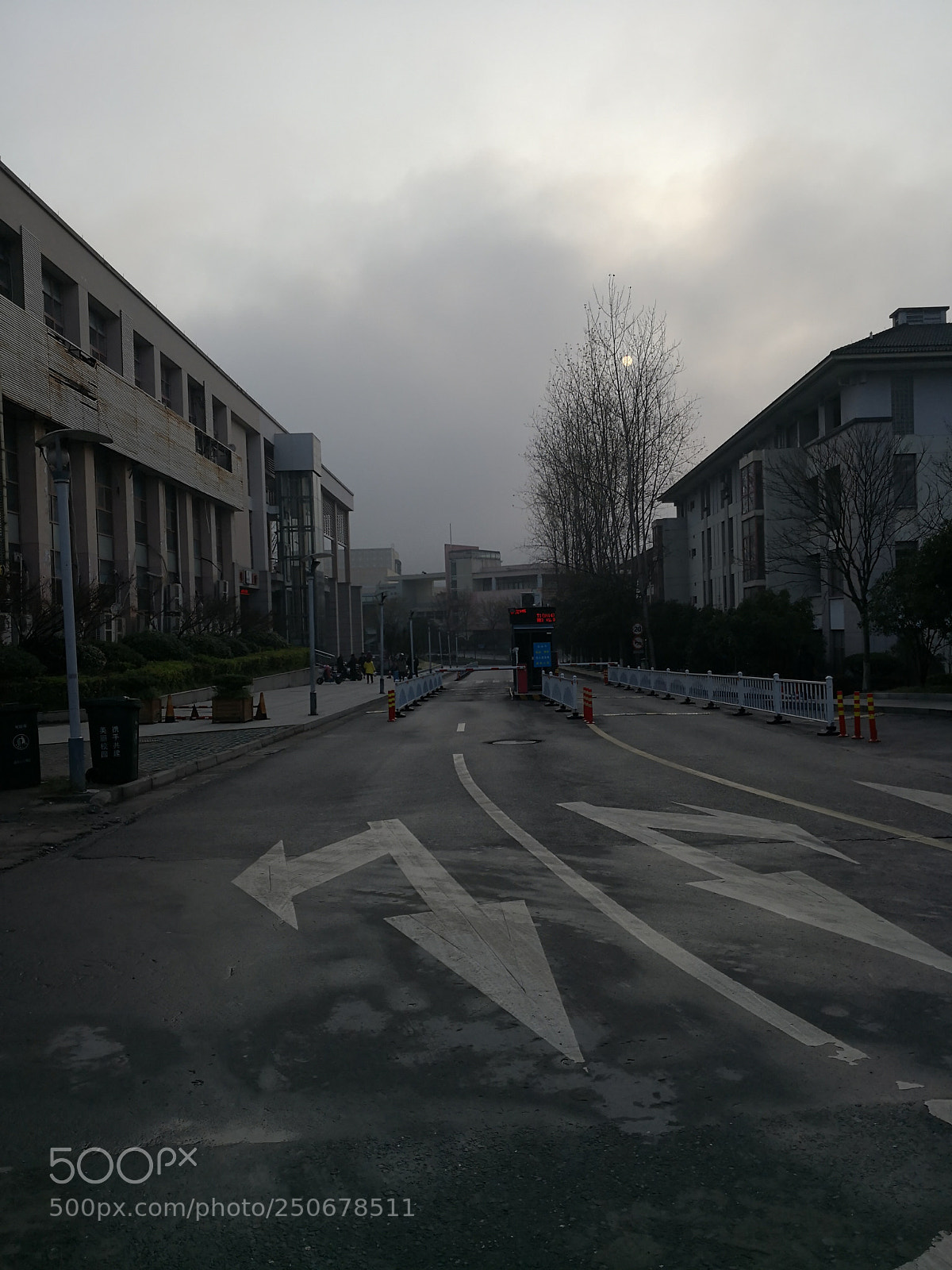 HUAWEI Mate 10 sample photo. Untitled photography