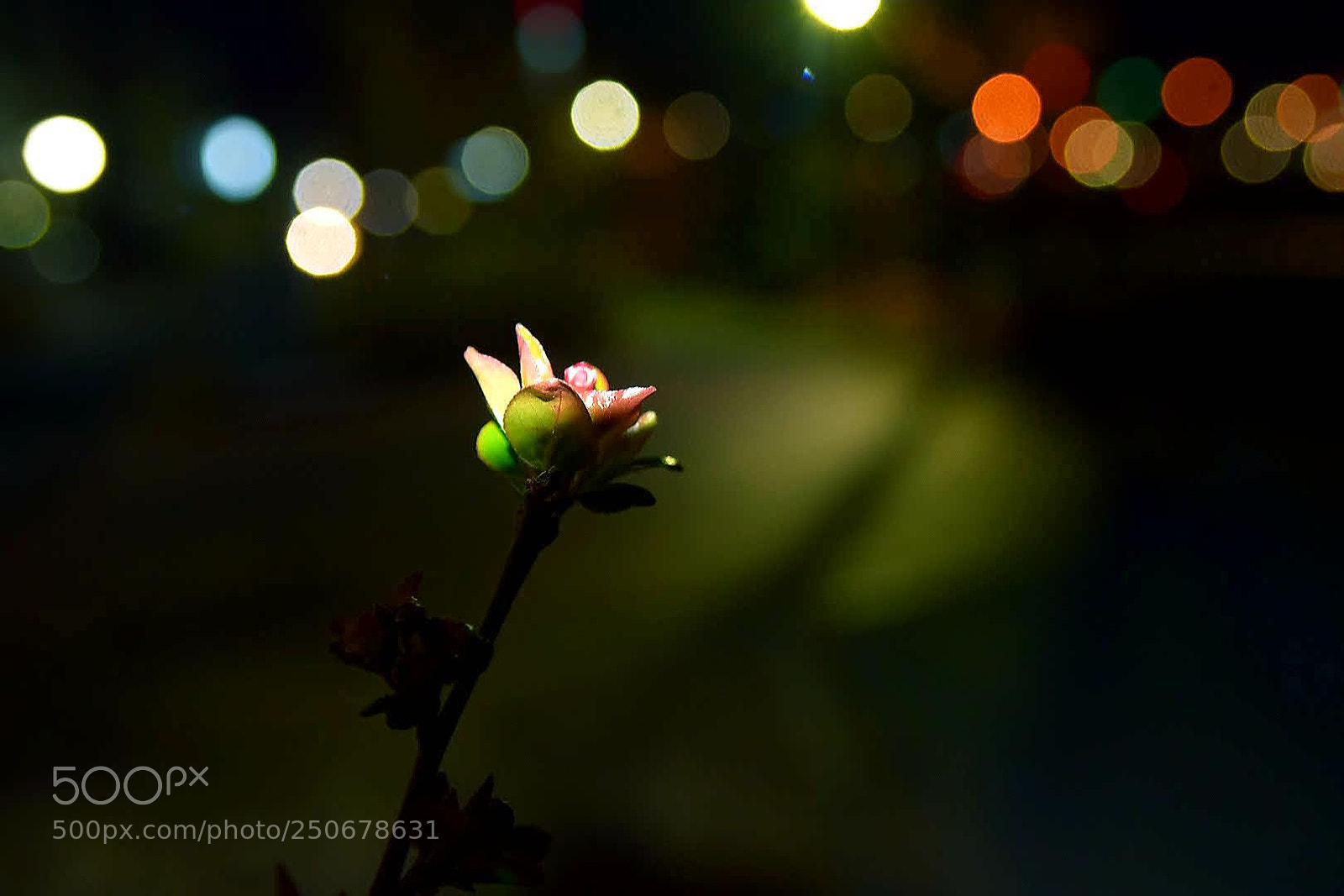 Nikon D5300 sample photo. Breathing and seeing you photography