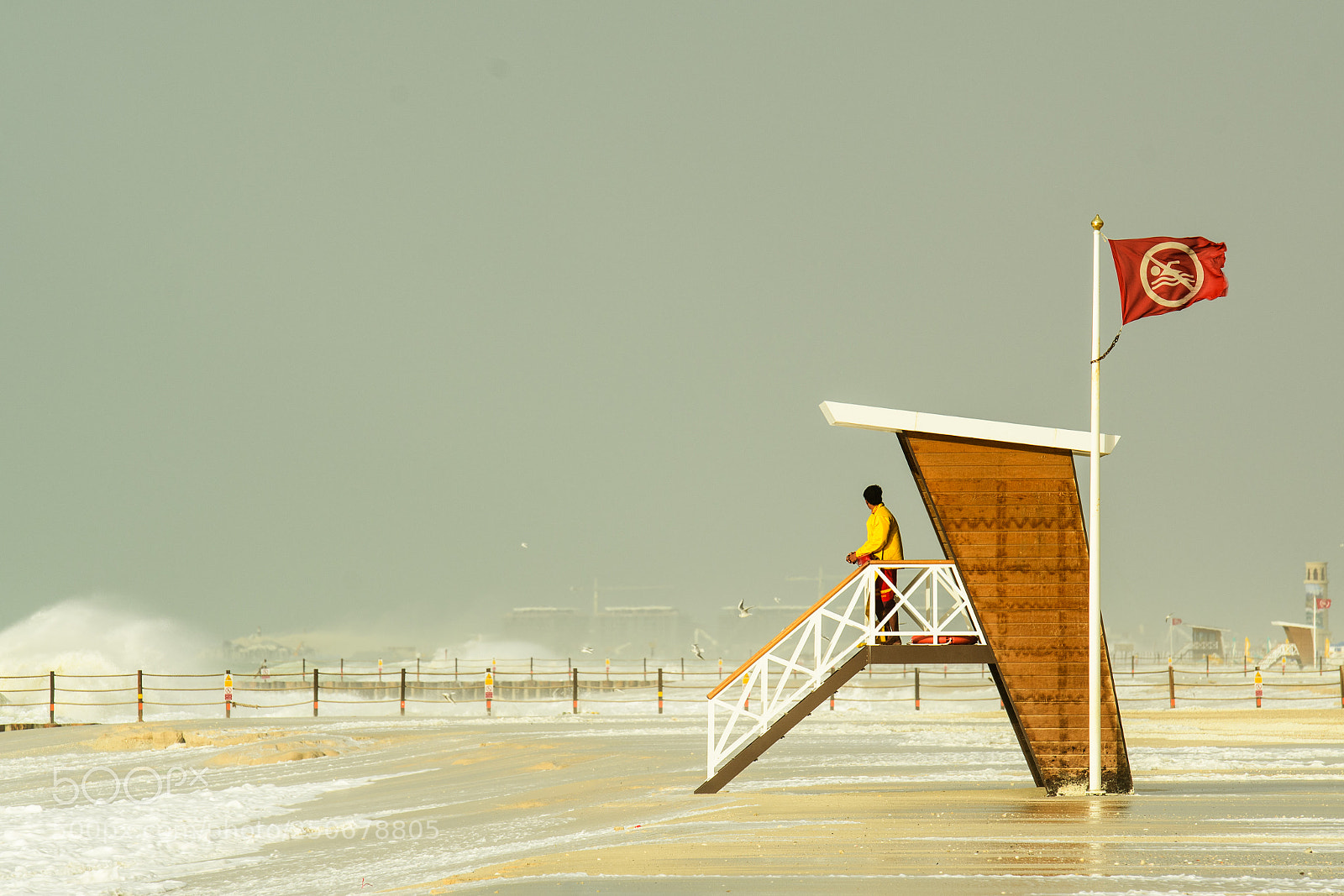 Nikon D500 sample photo. Warnings photography