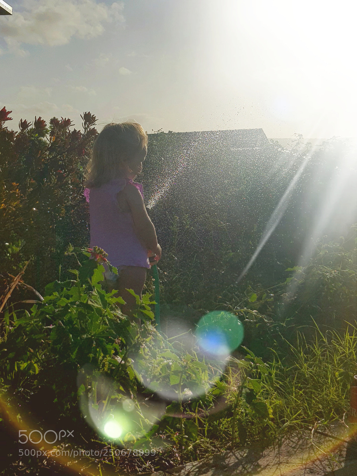 Samsung Galaxy S8 sample photo. Watering photography