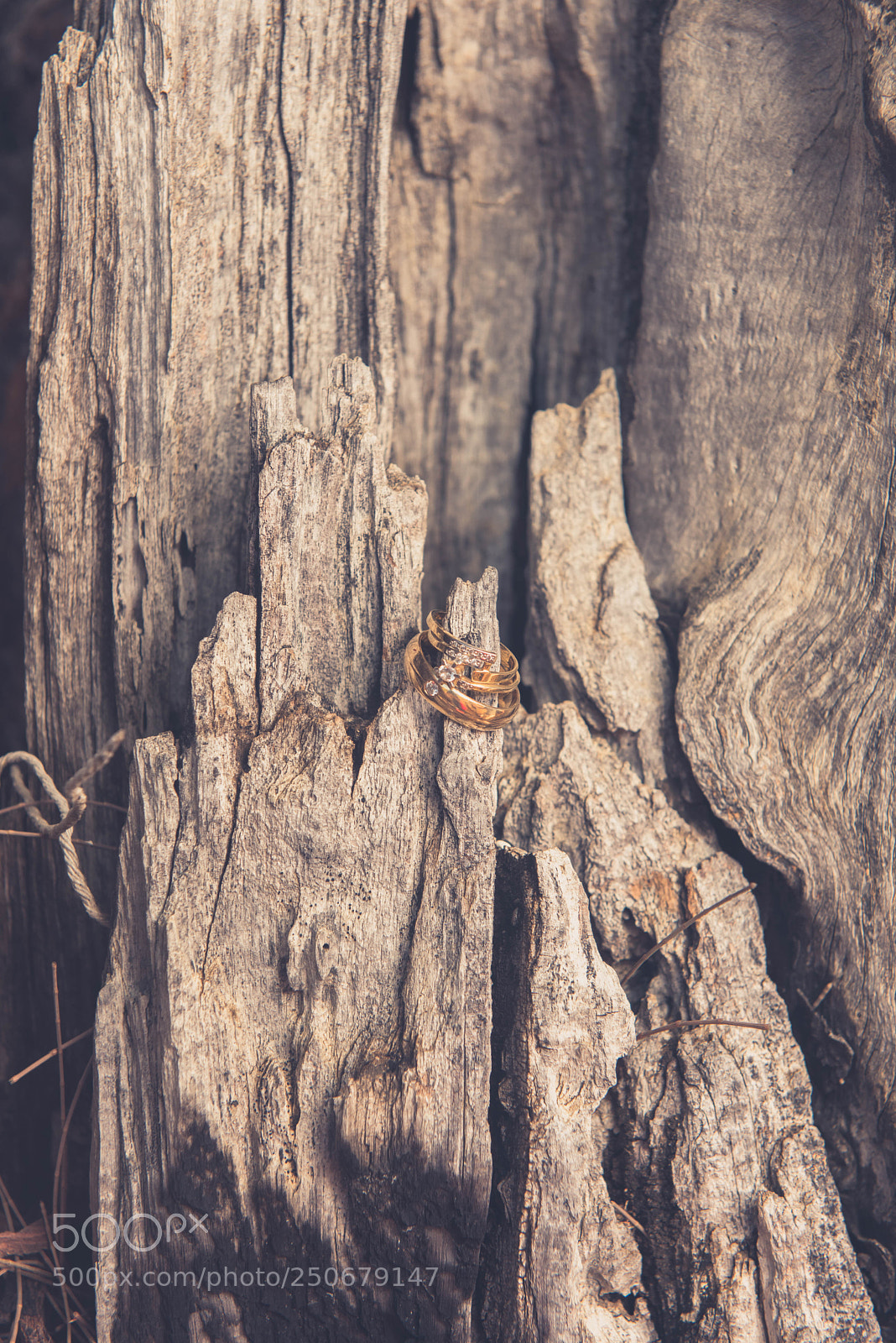 Nikon D810 sample photo. Wedding rings photography
