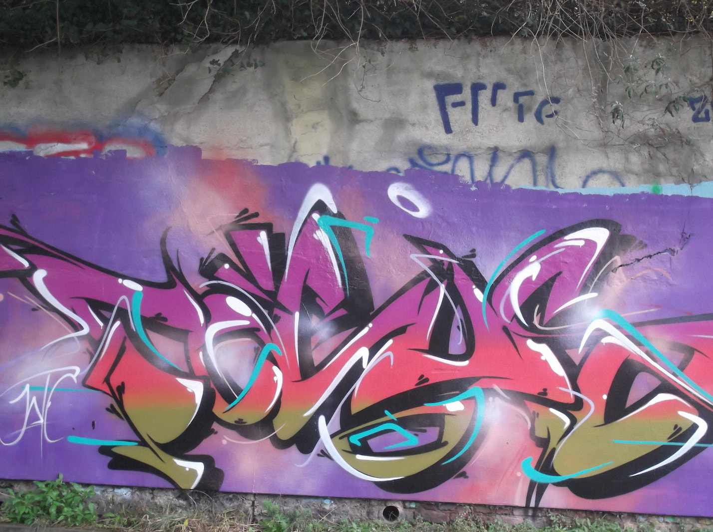 Fujifilm FinePix JV250 sample photo. Purple pink gold graffiti(near brighton station) photography