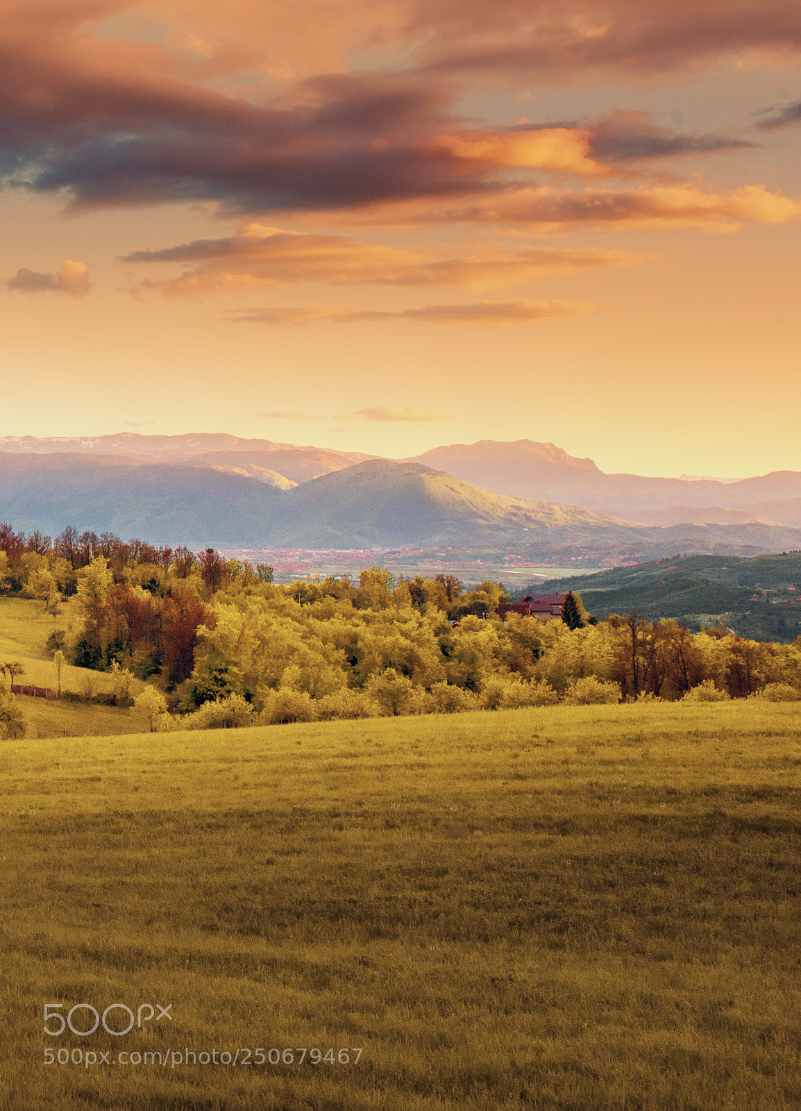 Nikon D610 sample photo. Countryside view photography
