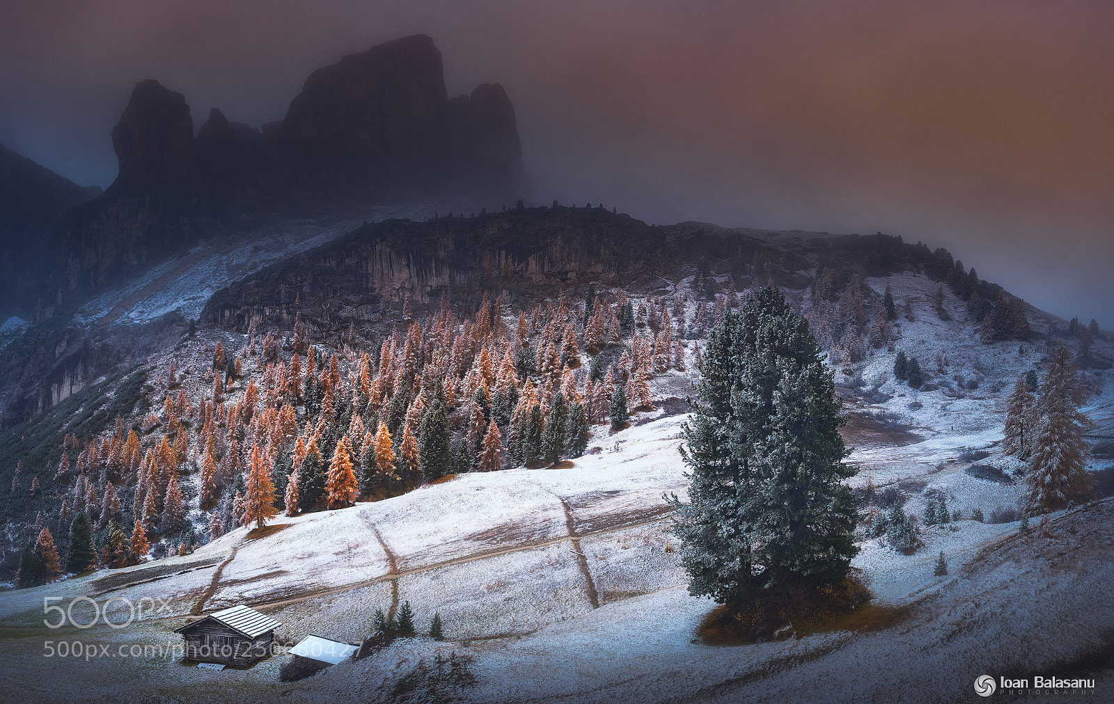 Sony a7 sample photo. Parts form my kingdom photography