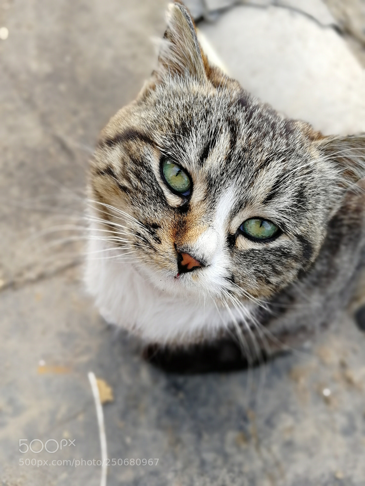 HUAWEI Honor 9 sample photo. Untitled photography