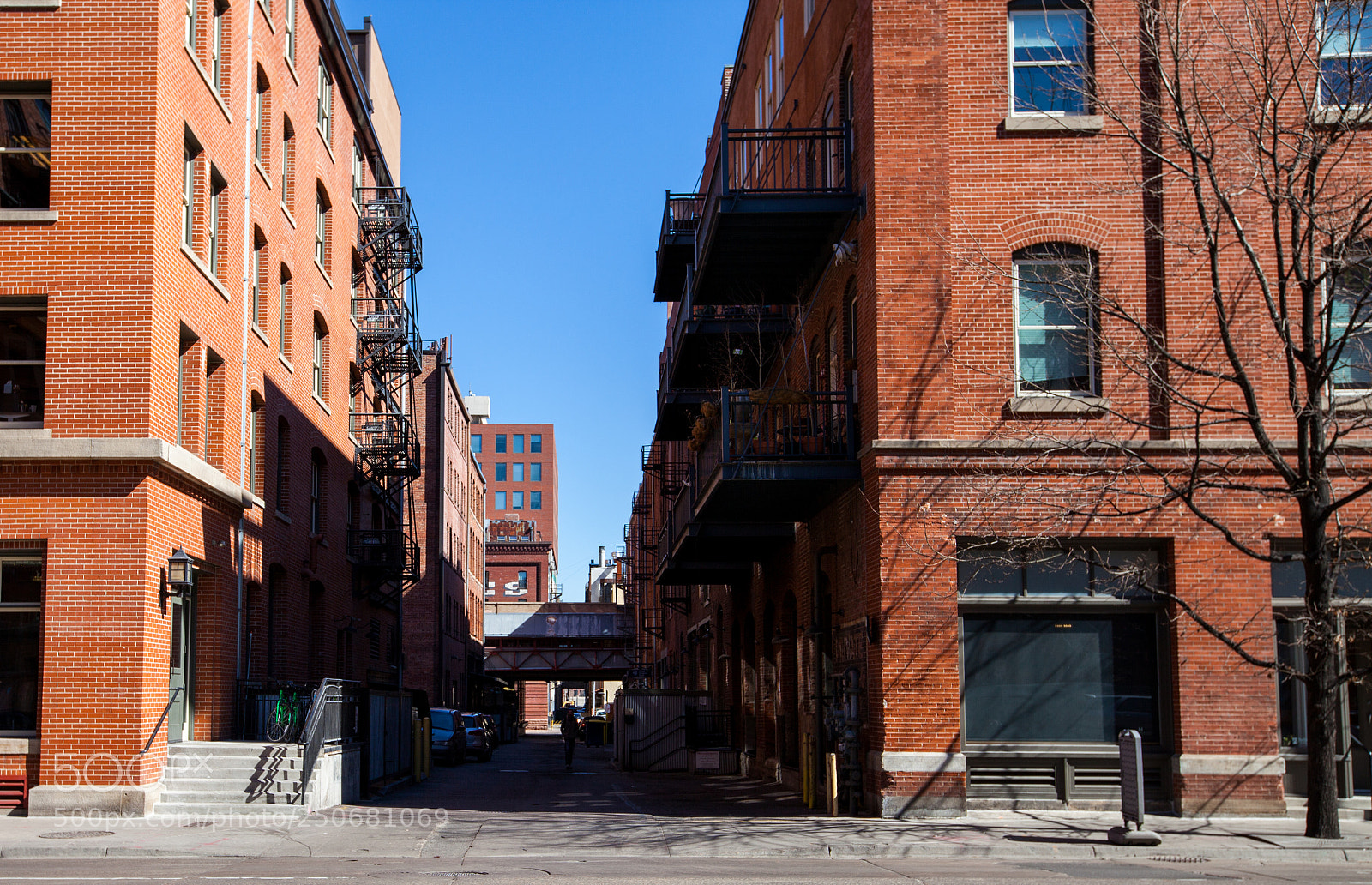 Canon EOS 5D Mark II sample photo. Born in the alley photography
