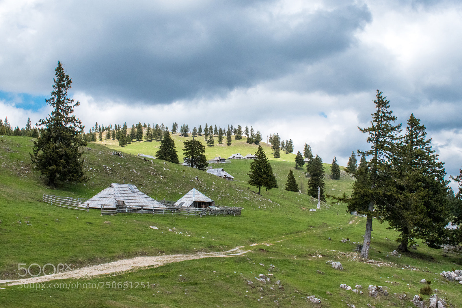 Nikon D5500 sample photo. Velika planina - slovenia photography