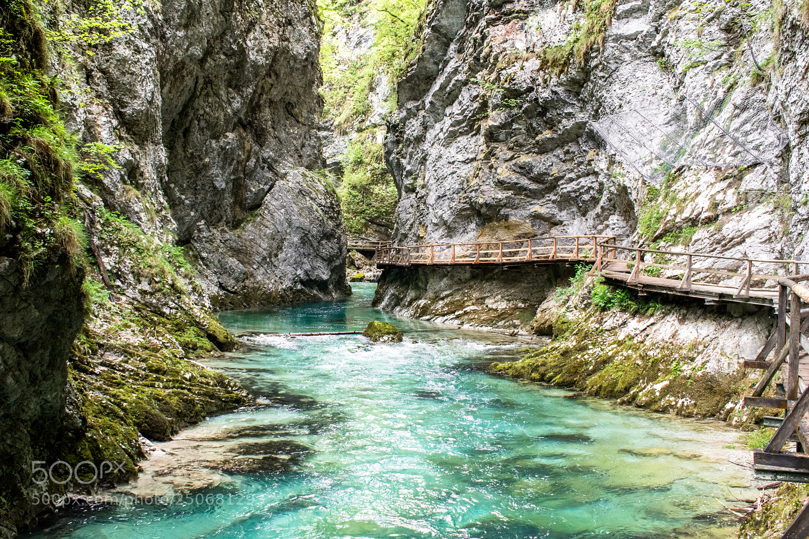 Nikon D5500 sample photo. Vintager valley - slovenia photography