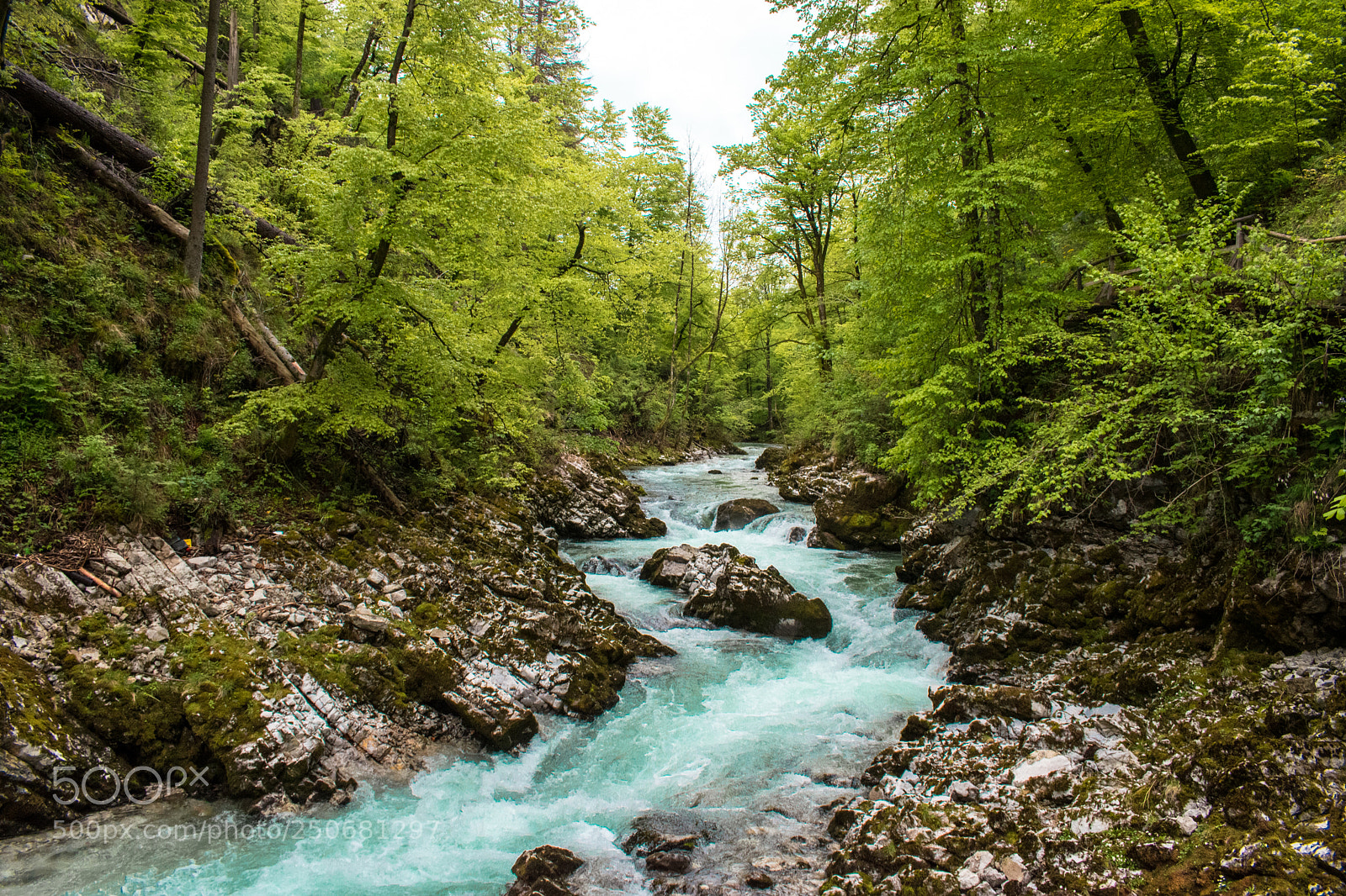 Nikon D5500 sample photo. Vintager valley - slovenia photography