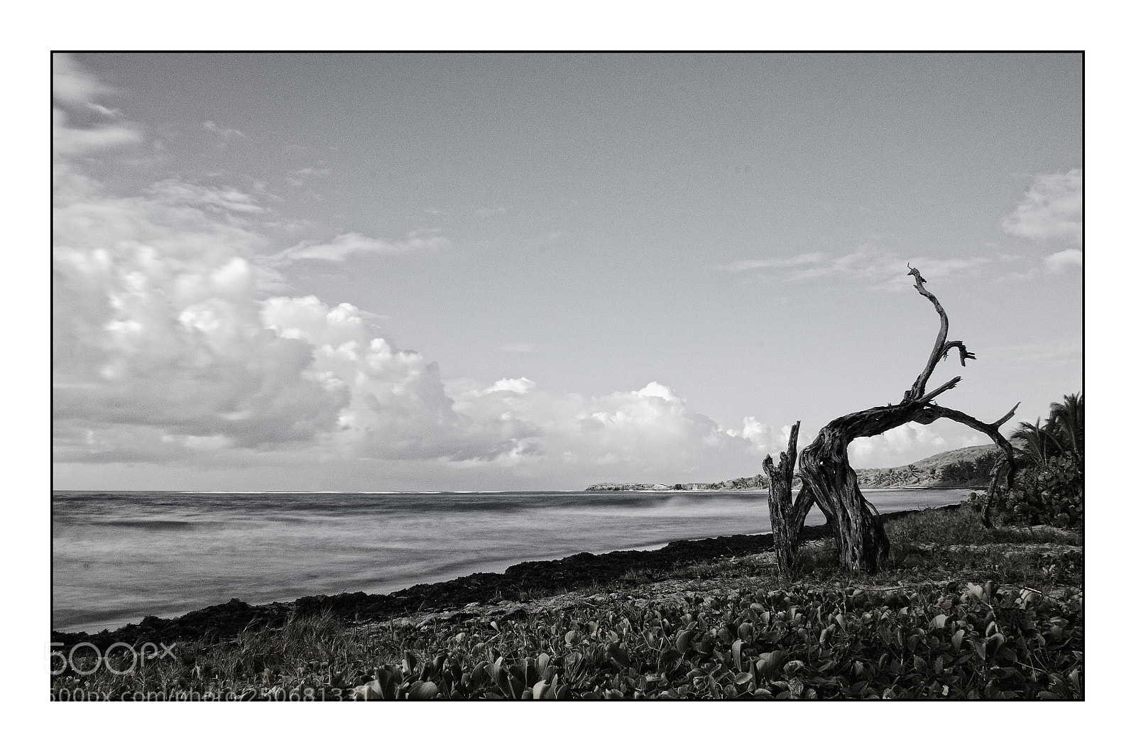 Nikon D7000 sample photo. Plage de l'anse trabaud photography
