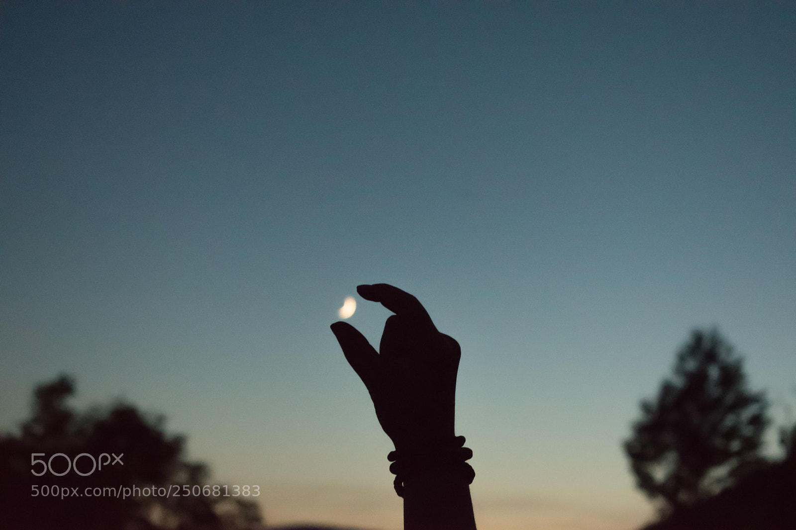 Nikon D5500 sample photo. Touch the moon photography