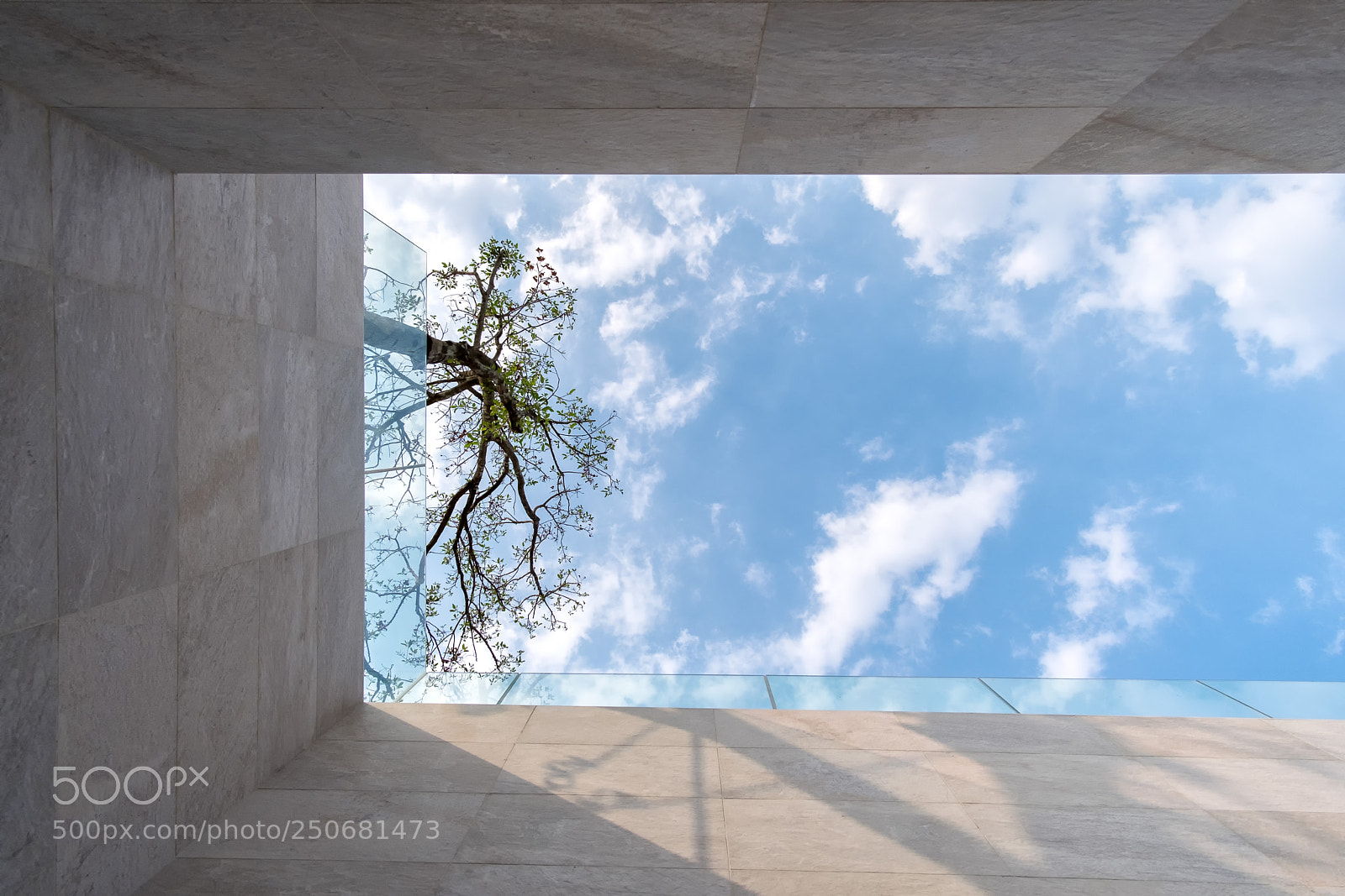 Fujifilm X-E3 sample photo. Tree sky photography