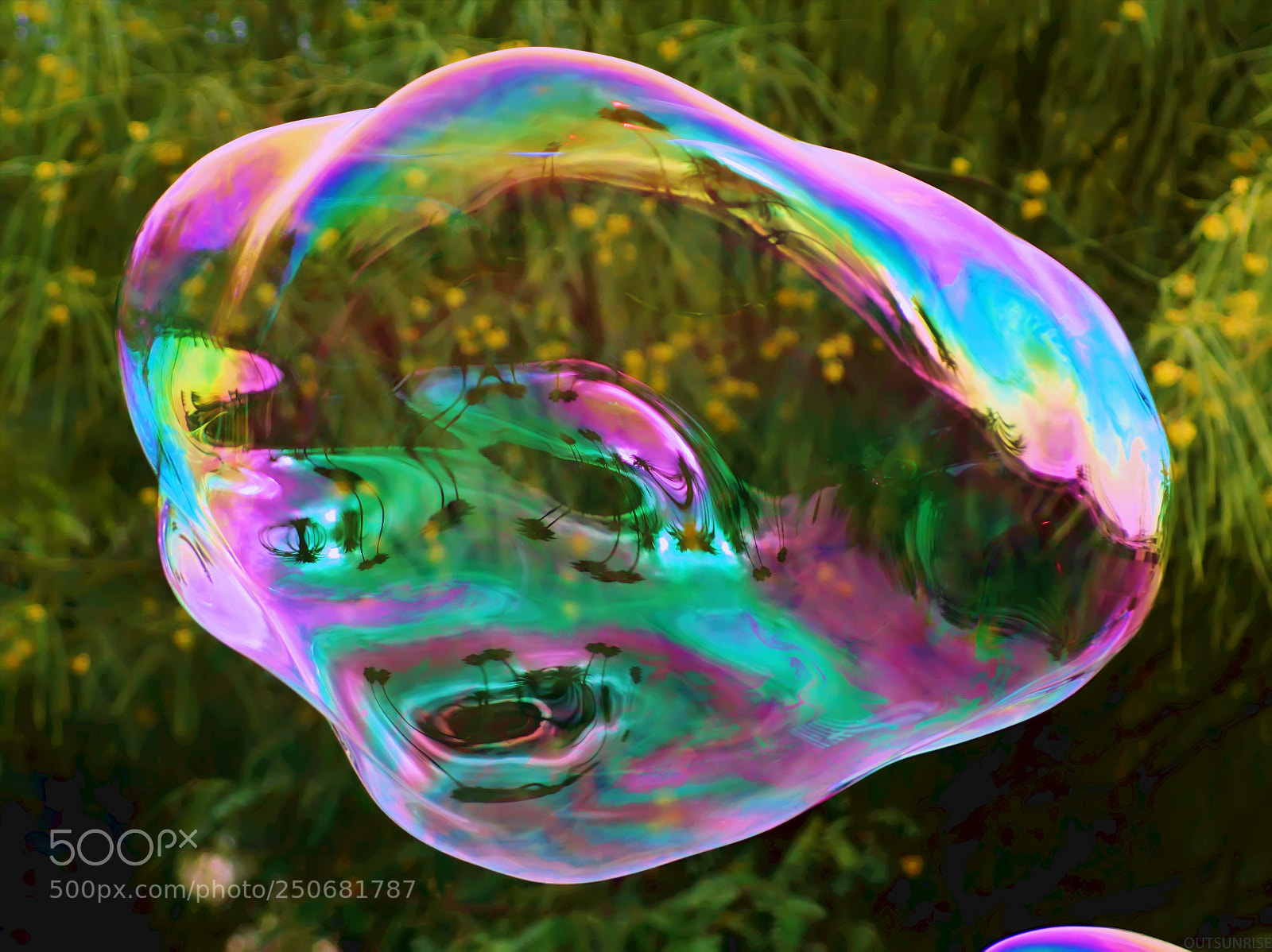 Sony SLT-A65 (SLT-A65V) sample photo. Bubble by outsunrise photography