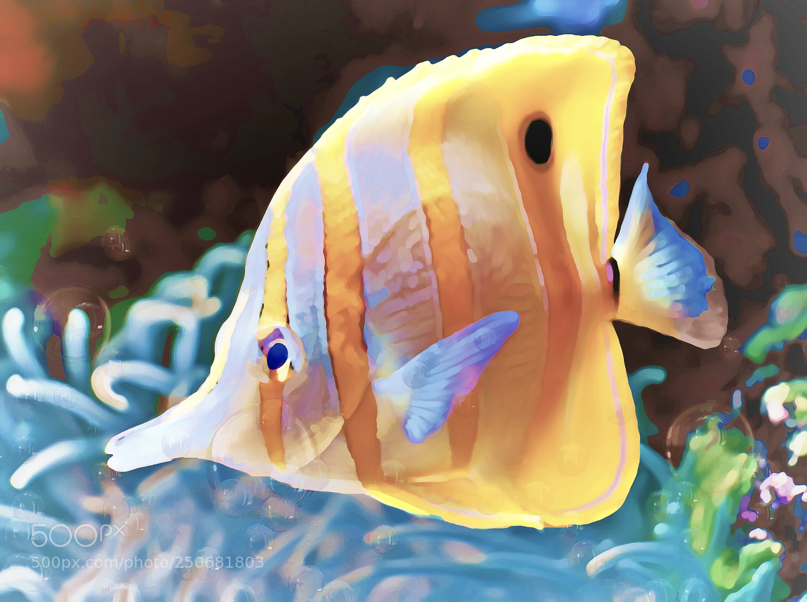 Sony SLT-A65 (SLT-A65V) sample photo. Butterfly fish by outsunrise photography