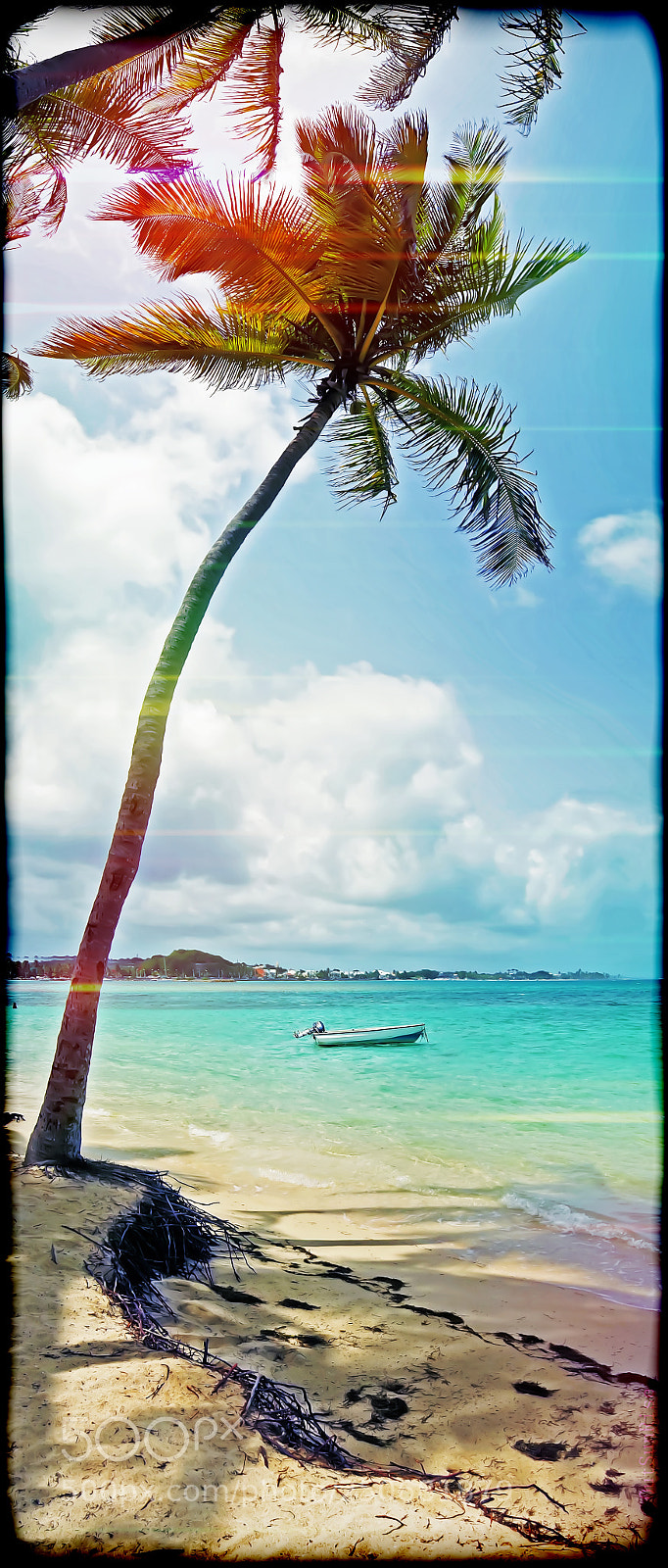 Sony SLT-A65 (SLT-A65V) sample photo. Caribbean beach by outsunrise photography