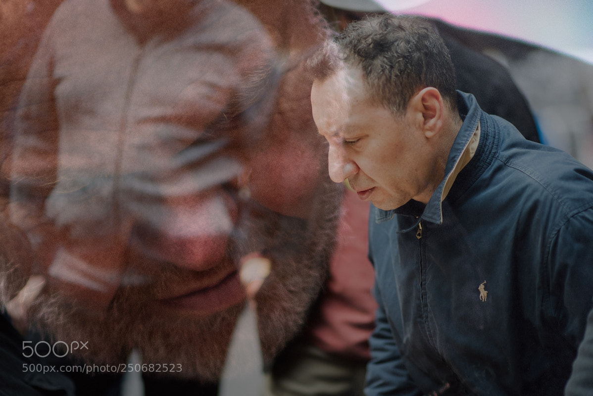 Nikon D810 sample photo. Réflexion photography